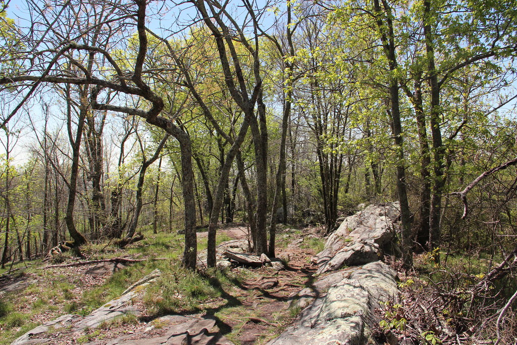 Top 20 Things To Do In Kennesaw, Trip101